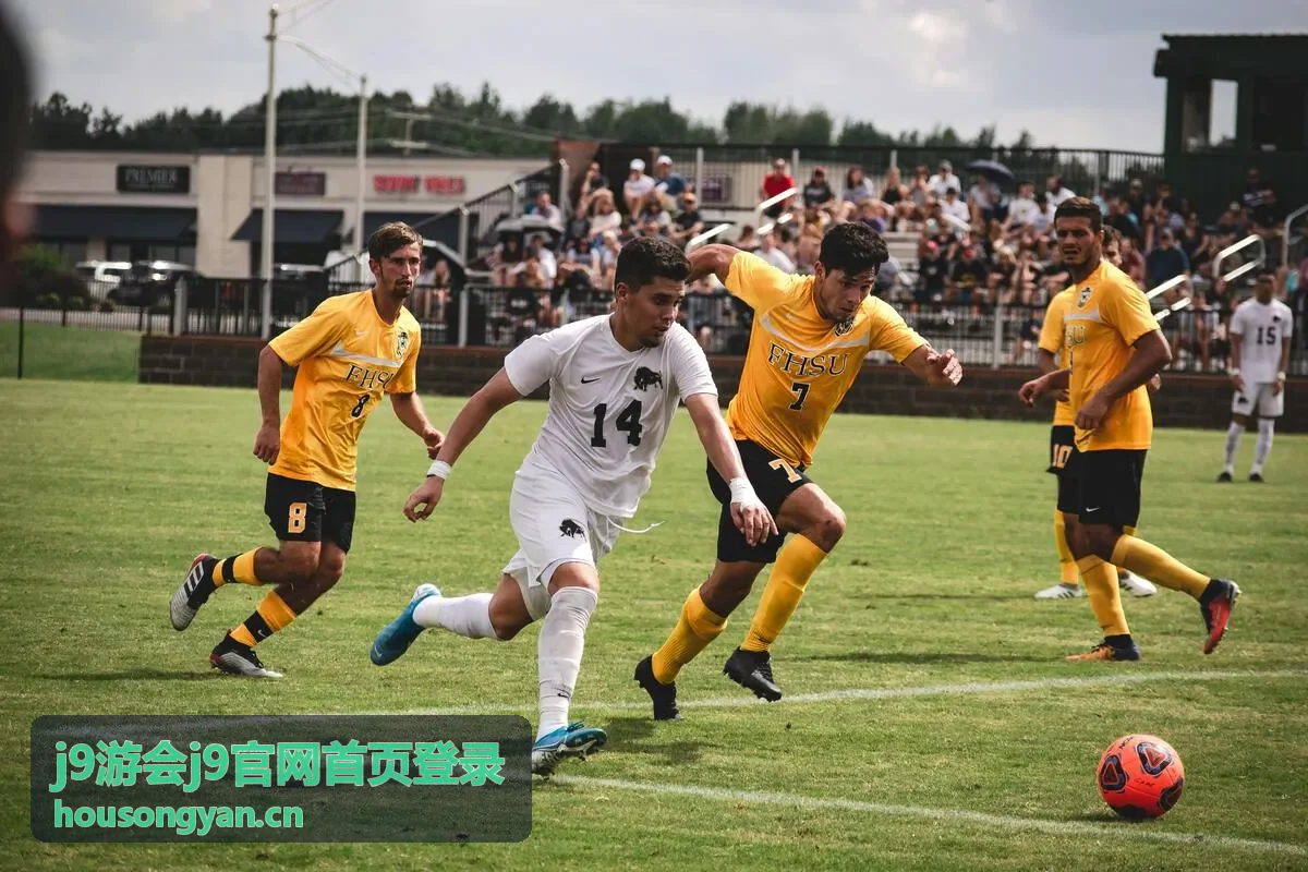 j9游会j9官网首页登录 账号资料核对服务