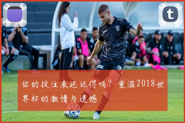 你的投注表还记得吗？重温2018世界杯的激情与遗憾