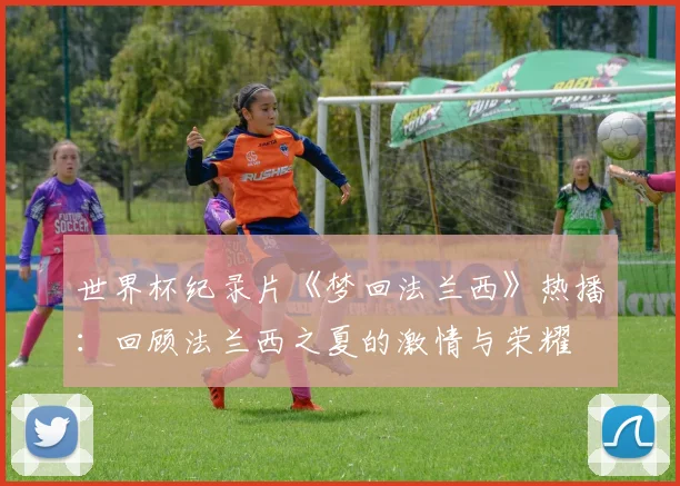 世界杯纪录片《梦回法兰西》热播：回顾法兰西之夏的激情与荣耀