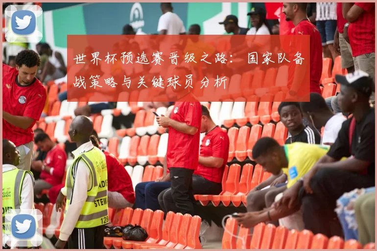 世界杯预选赛晋级之路：国家队备战策略与关键球员分析