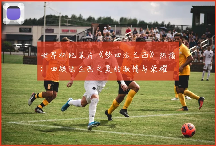 世界杯纪录片《梦回法兰西》热播：回顾法兰西之夏的激情与荣耀